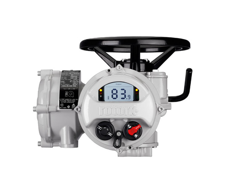 羅托克電動(dòng)執(zhí)行器角行程型號(hào)可以調(diào)整速度嗎？如何操作？